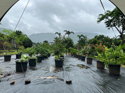 The Riverstone Agro Farm