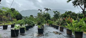 The Riverstone Agro Farm