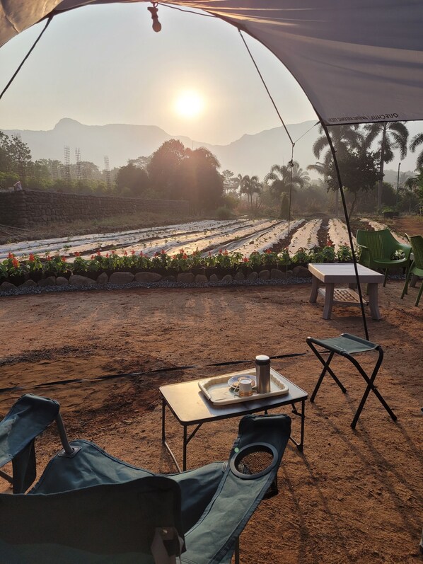 A tent with a table and chairs, a tray with a mug and a plate, and a view of a garden with plants and a mountain in the background.