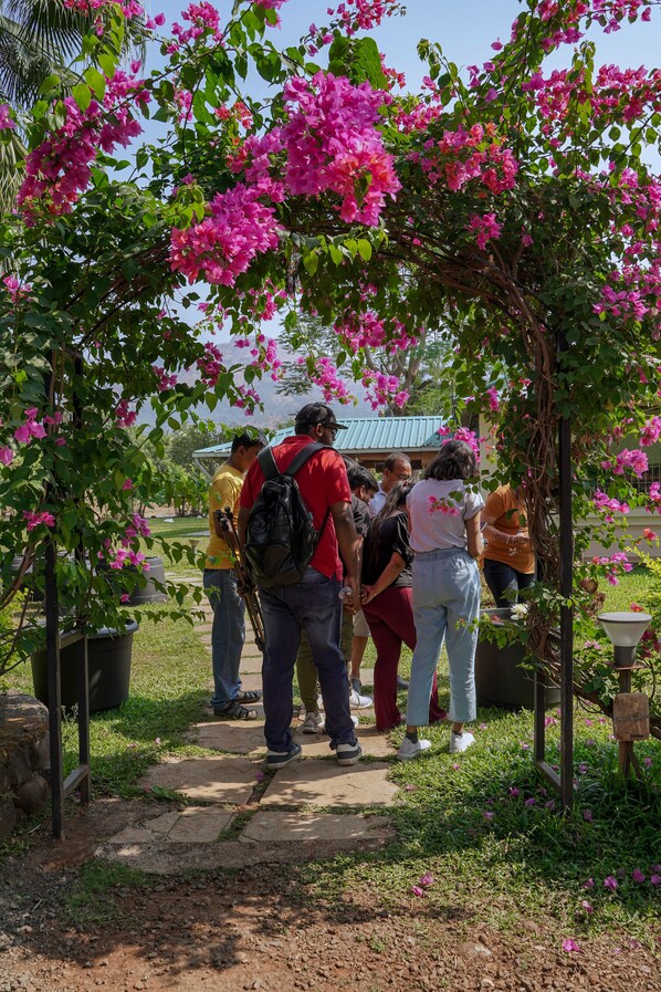 Jardín