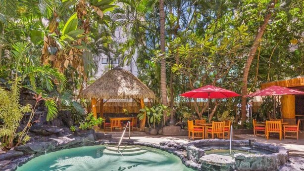 A pool area with a thatched-roof hut, surrounded by lush greenery and wooden furniture.
