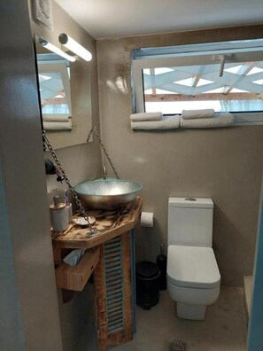 Combined shower/bathtub