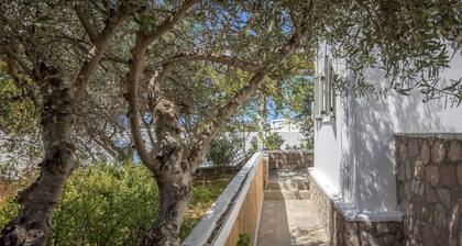 Happy Stay Apartment