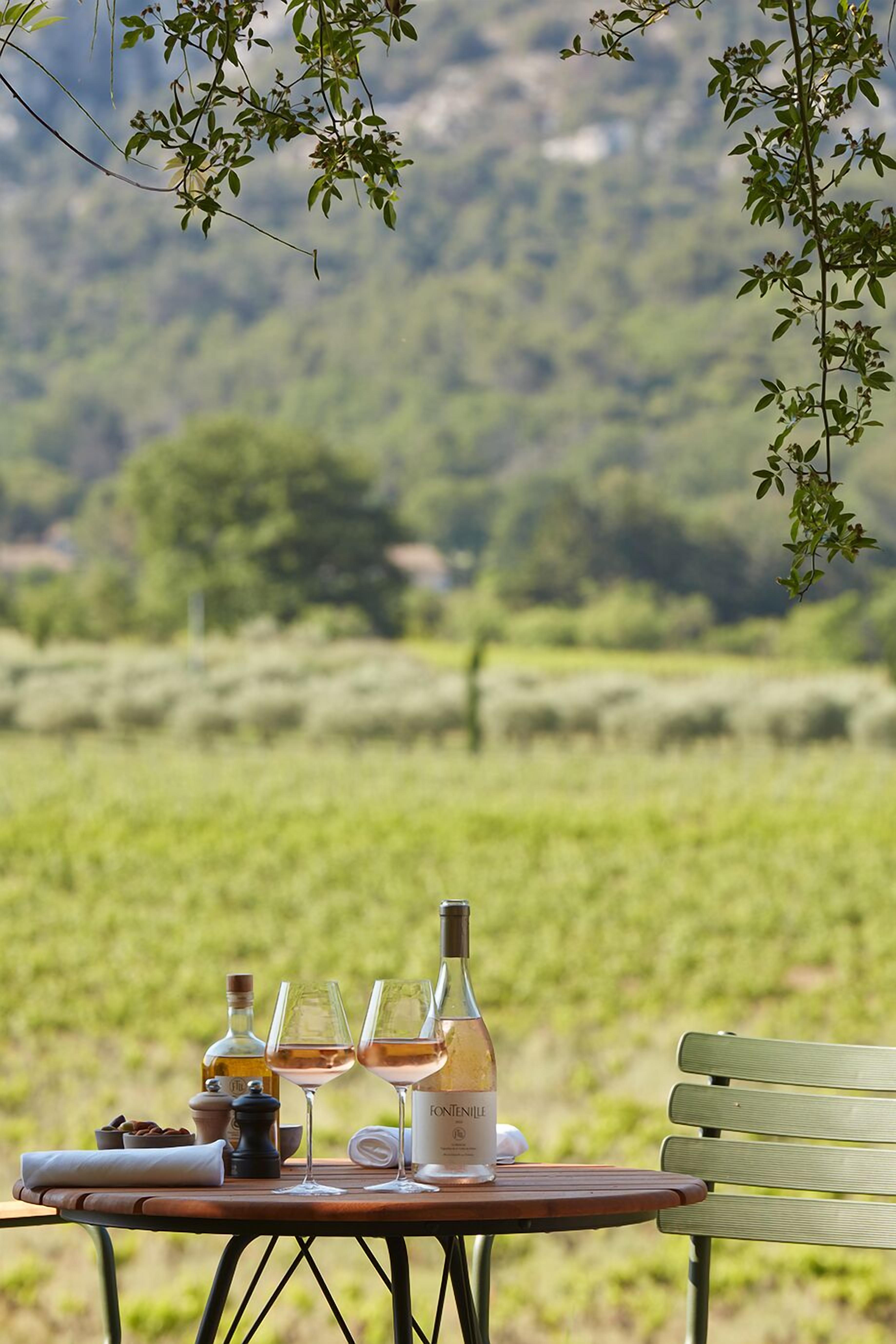A table with a bottle of Fonterille wine, two glasses, a salt shaker, and a napkin, set against a vineyard backdrop.