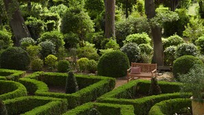 A meticulously landscaped garden with geometric hedge patterns and a bench.