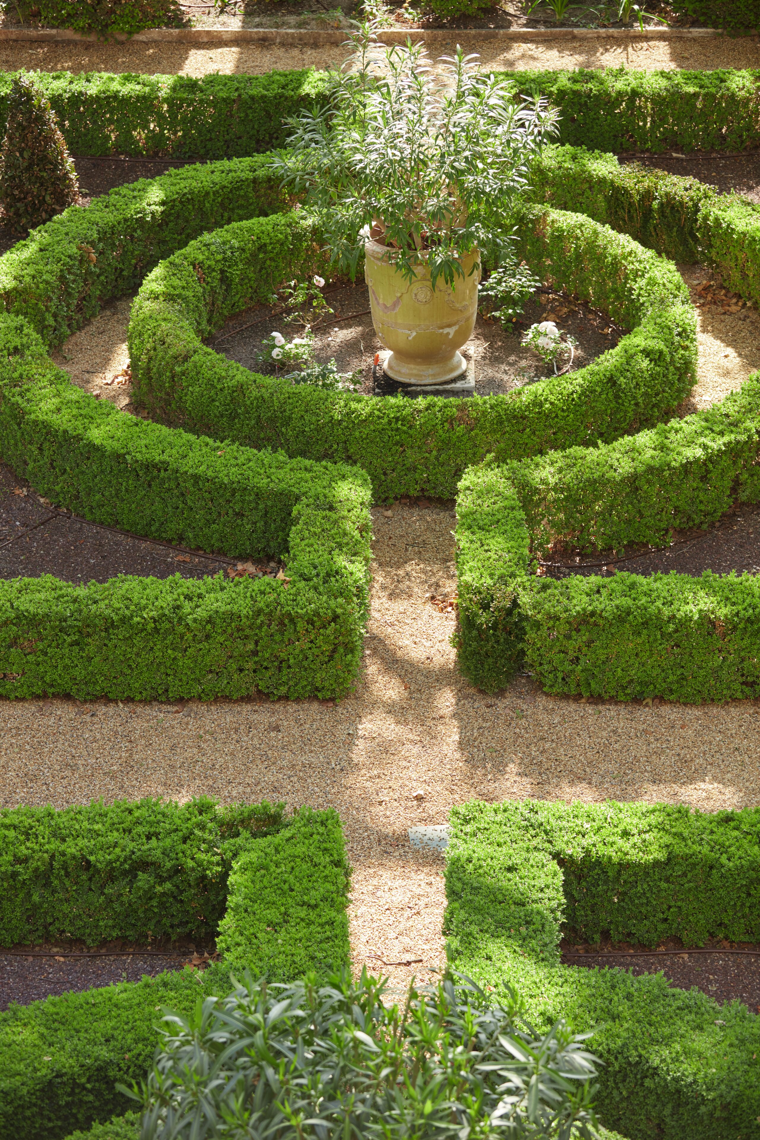 A meticulously landscaped garden with geometric hedge patterns and a central potted plant.