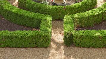A meticulously landscaped garden with geometric hedge patterns and a central potted plant.