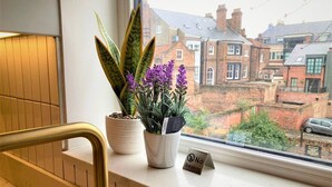 A window with a view of residential buildings, a 'No Smoking' sign, and two potted plants.