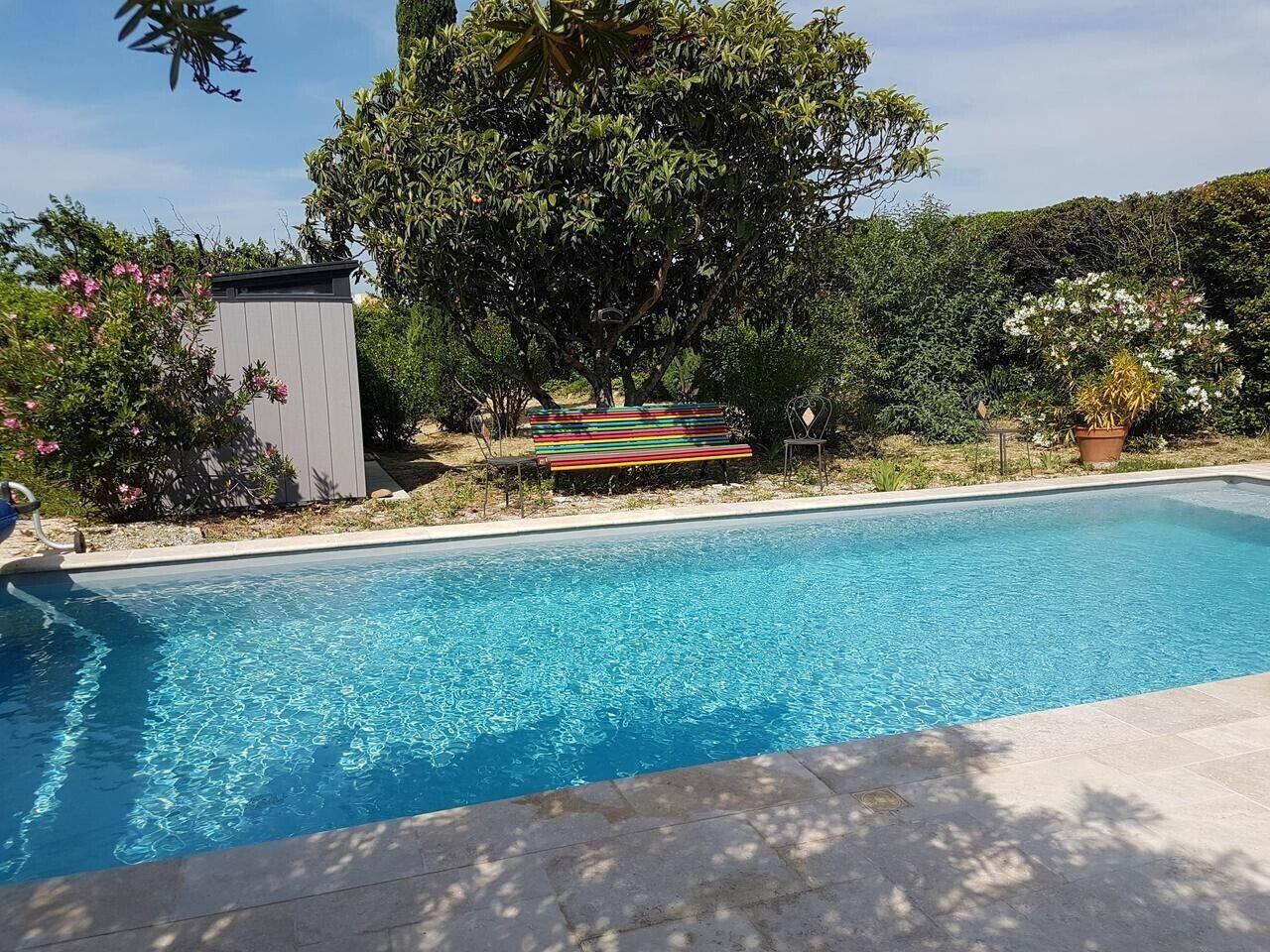 Ein Schwimmbecken mit einer Bank und einem Baum im Hintergrund.