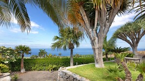 Un jardin aménagé avec des palmiers, un mur en pierre et une vue sur l’océan.