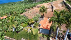 Un quartier résidentiel avec une maison, des palmiers et une vue sur l’océan.
