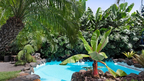 Una piscina rodeada de plantas tropicales y rocas.