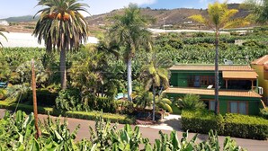 Un barrio residencial con una casa verde, palmeras y un paisaje montañoso al fondo.