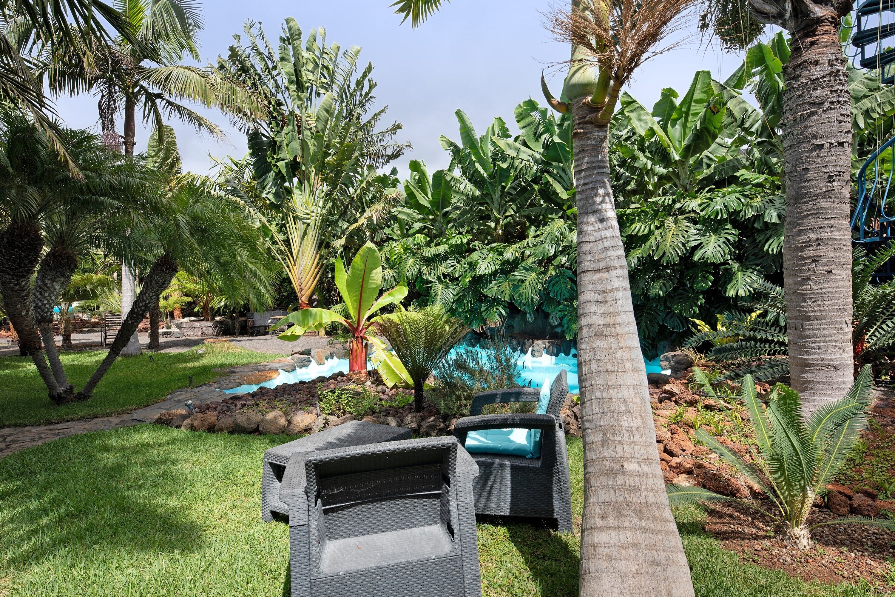 A tropical garden with palm trees, a pool, and outdoor seating.