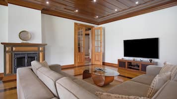 TV, fireplace, table tennis