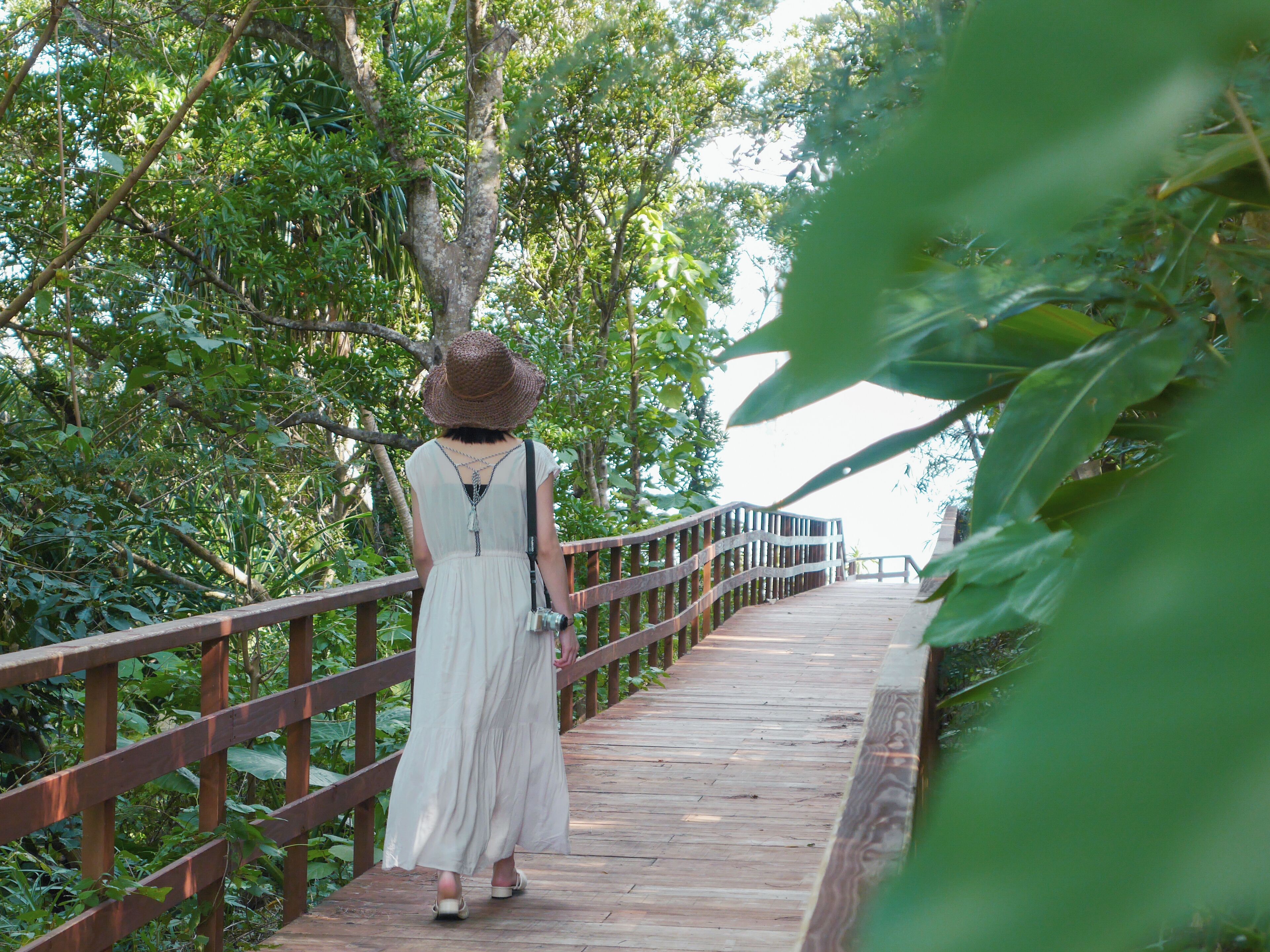 A wooden bridge with railings, surrounded by lush greenery.