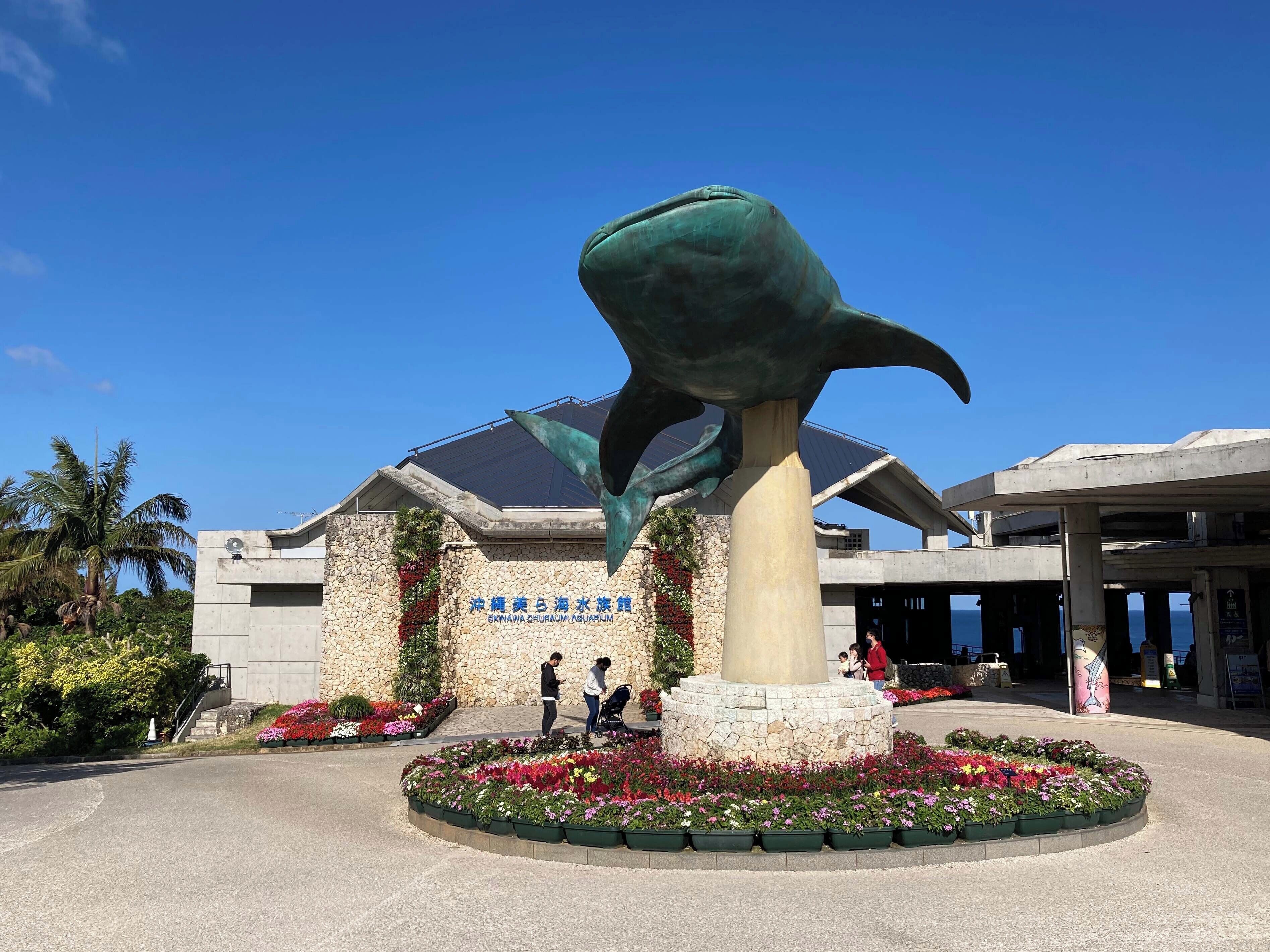 A building with a large turtle sculpture in front, surrounded by flower beds.