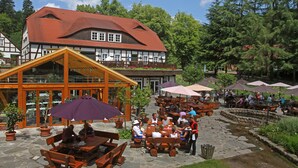 Un espace extérieur aménagé en terrasse, avec des tables et des bancs en bois, entouré de plantes en pot et agrémenté de parasols.