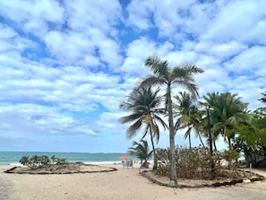 Una playa cerca