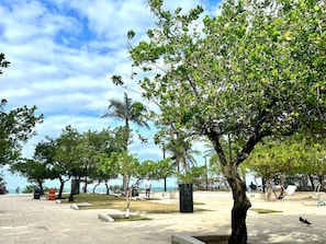 Imagen general