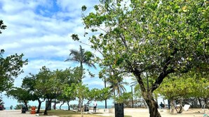 A park with trees, a pathway, and a view of the sea.