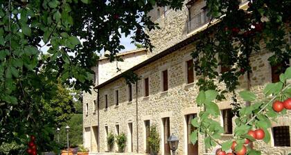 La Scuola - Abbadia San Benedetto