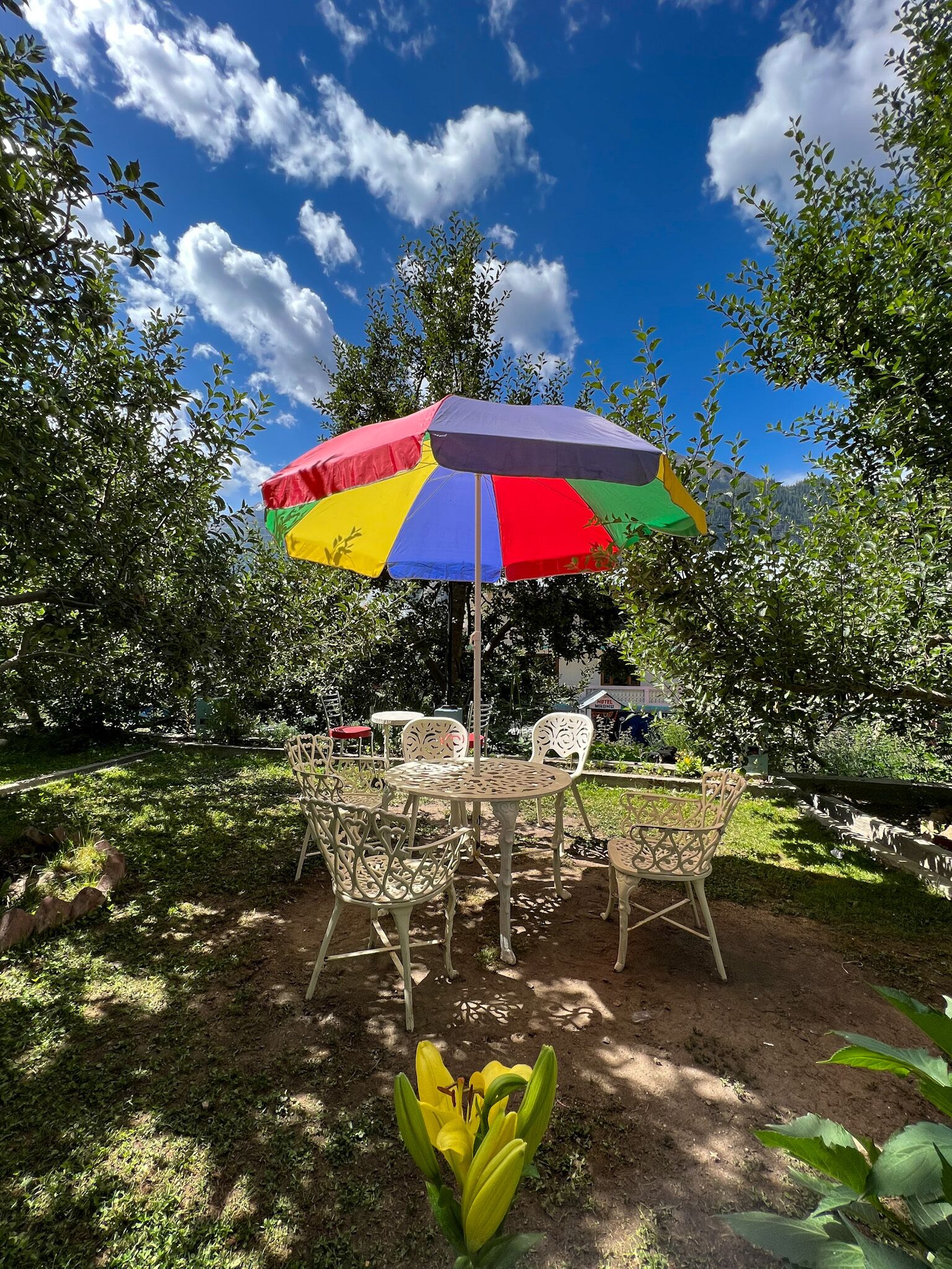 Un espace extérieur aménagé avec des sièges, agrémenté d’un parasol coloré, et entouré d’arbres et d’un jardin.