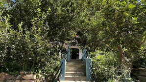 A stone staircase leading to a building entrance, surrounded by lush greenery and stone walls. - Hotel Prakash Regency Sangla (Sangla)