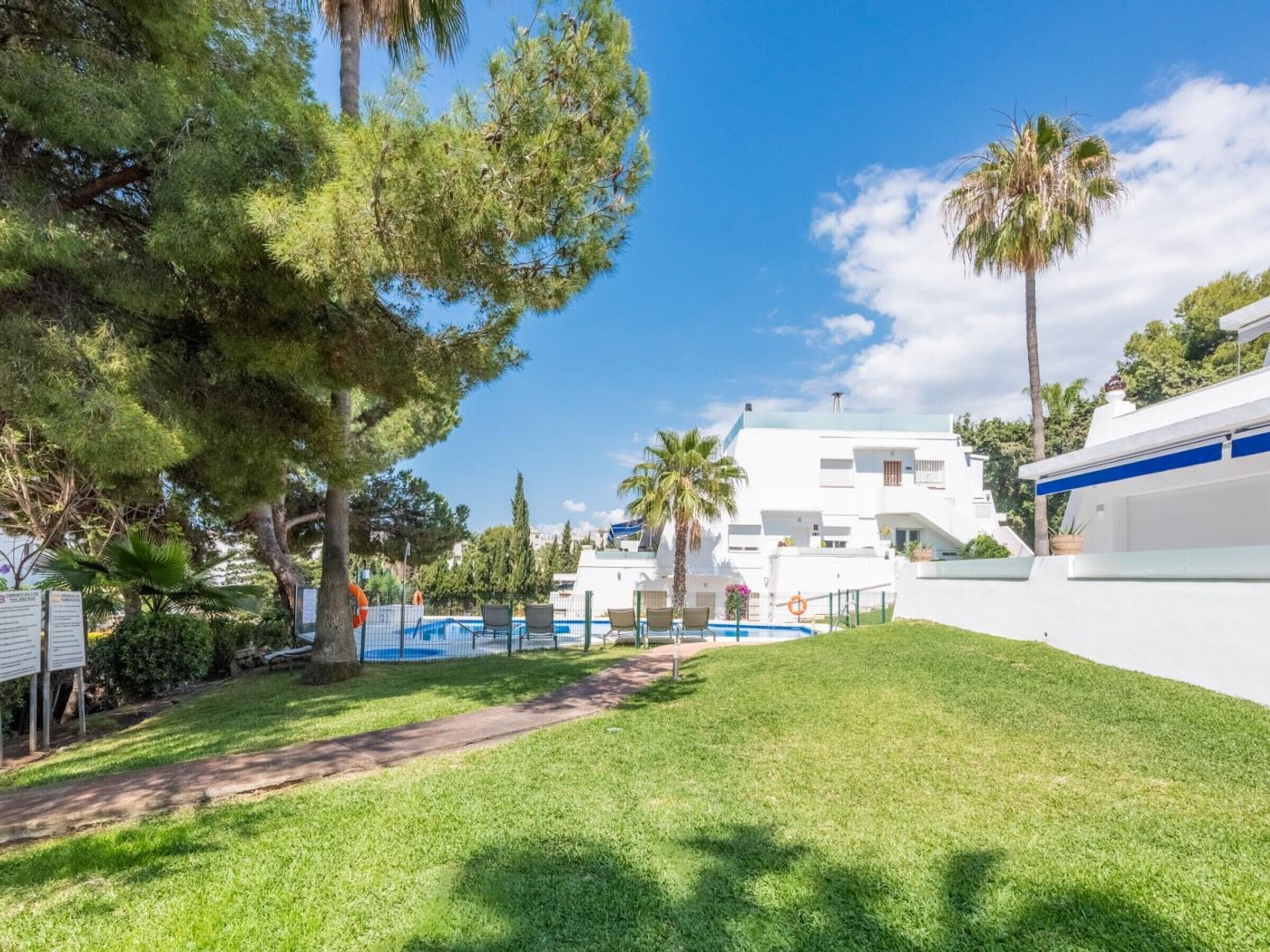 Un área de piscina con sillas de descanso, una palmera y un edificio blanco con detalles azules.