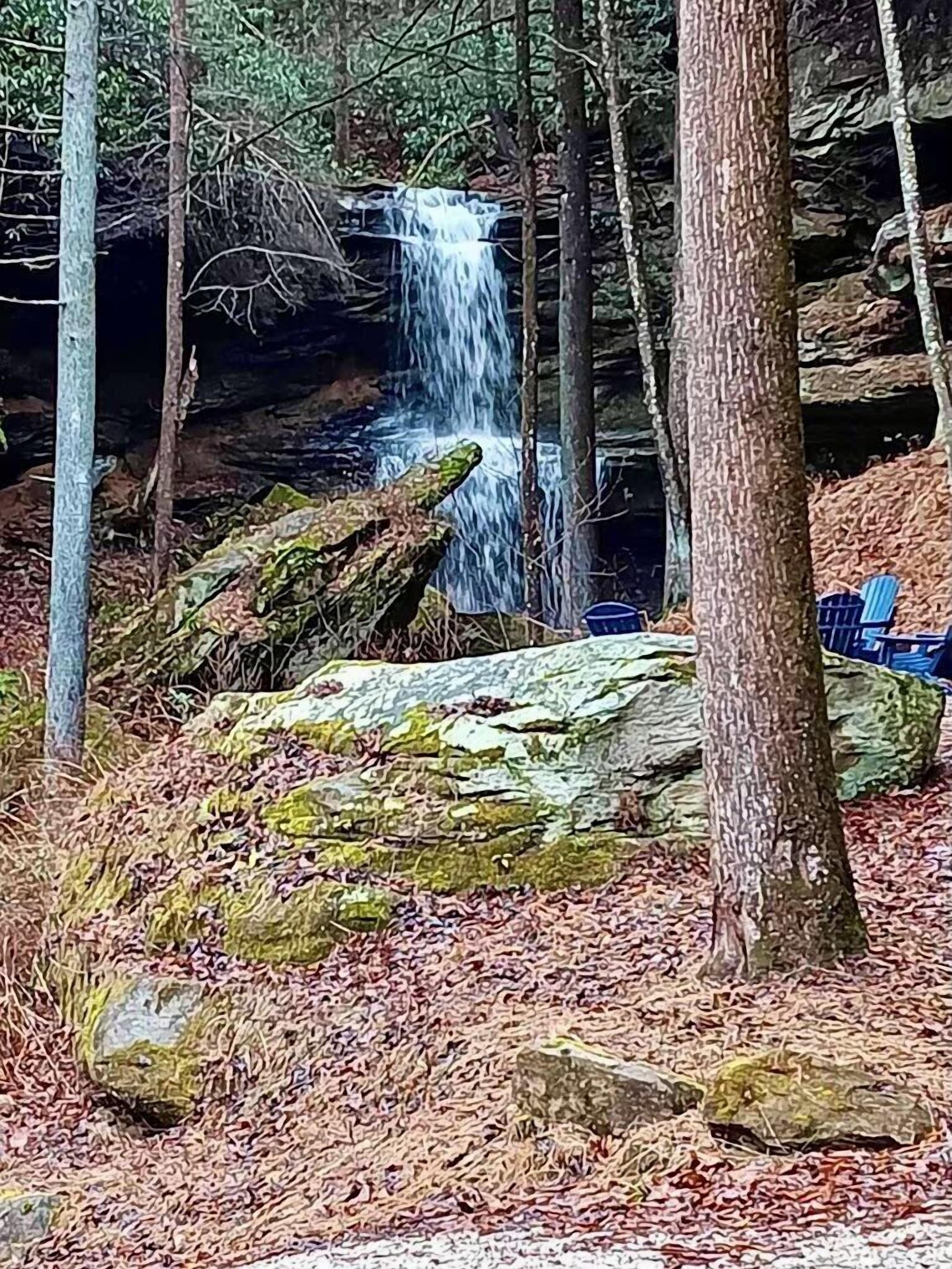 Une cascade située dans une zone boisée, avec des rochers et des arbres.