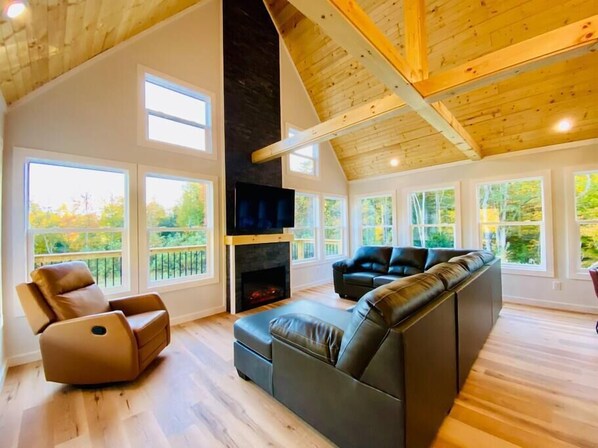 TV, fireplace, books