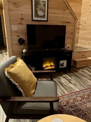 TV, fireplace, DVD player, books