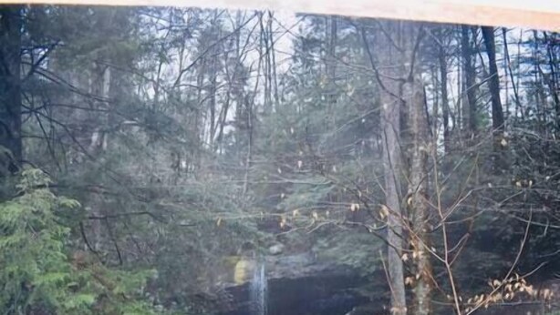 A wooden deck overlooking a forested area with a waterfall. - Cozy RRG Retreat | Private Valley & Forest Views | Hidden Falls Cabin (Campton)