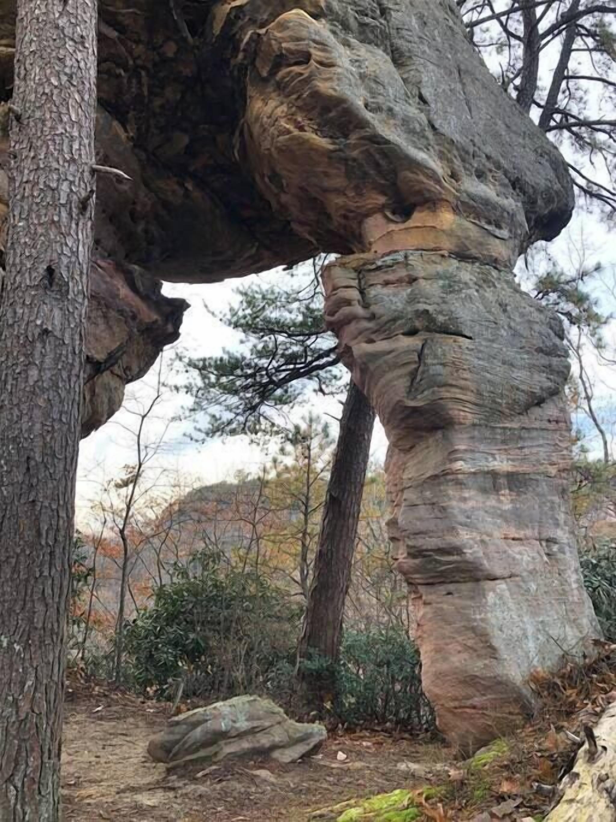 A natural rock formation with a tree growing out of it.