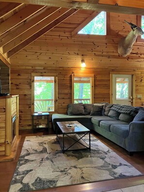 TV, fireplace, DVD player