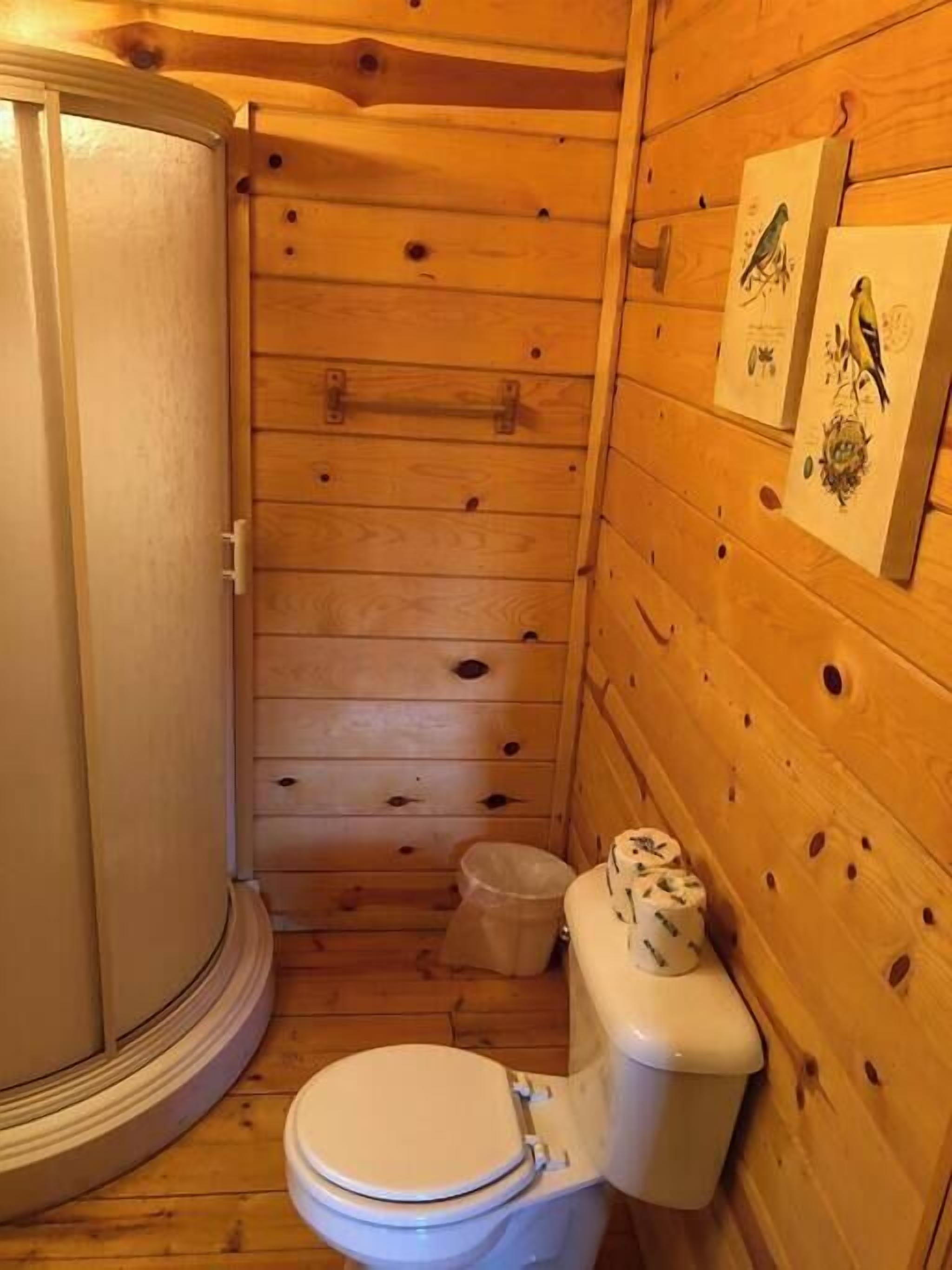 A small wooden cabin bathroom with a toilet, a shower stall, and wooden walls.