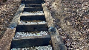 A wooden staircase leading to a cabin in a forest. - The Founder - Iconic Rockhouse Cabin! (Campton)