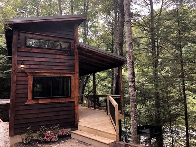 Theodore Tiny Cabin- RRG Hot Tub! Pet Friendly!