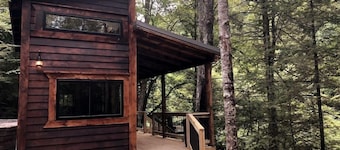 Theodore Tiny Cabin- RRG Hot Tub! Pet Friendly!