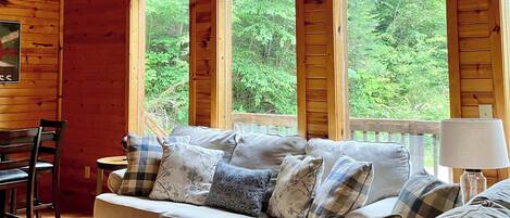 Fernseher, Kamin, DVD-Player