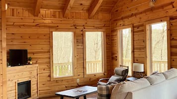 Tv, eldstad och dvd-spelare