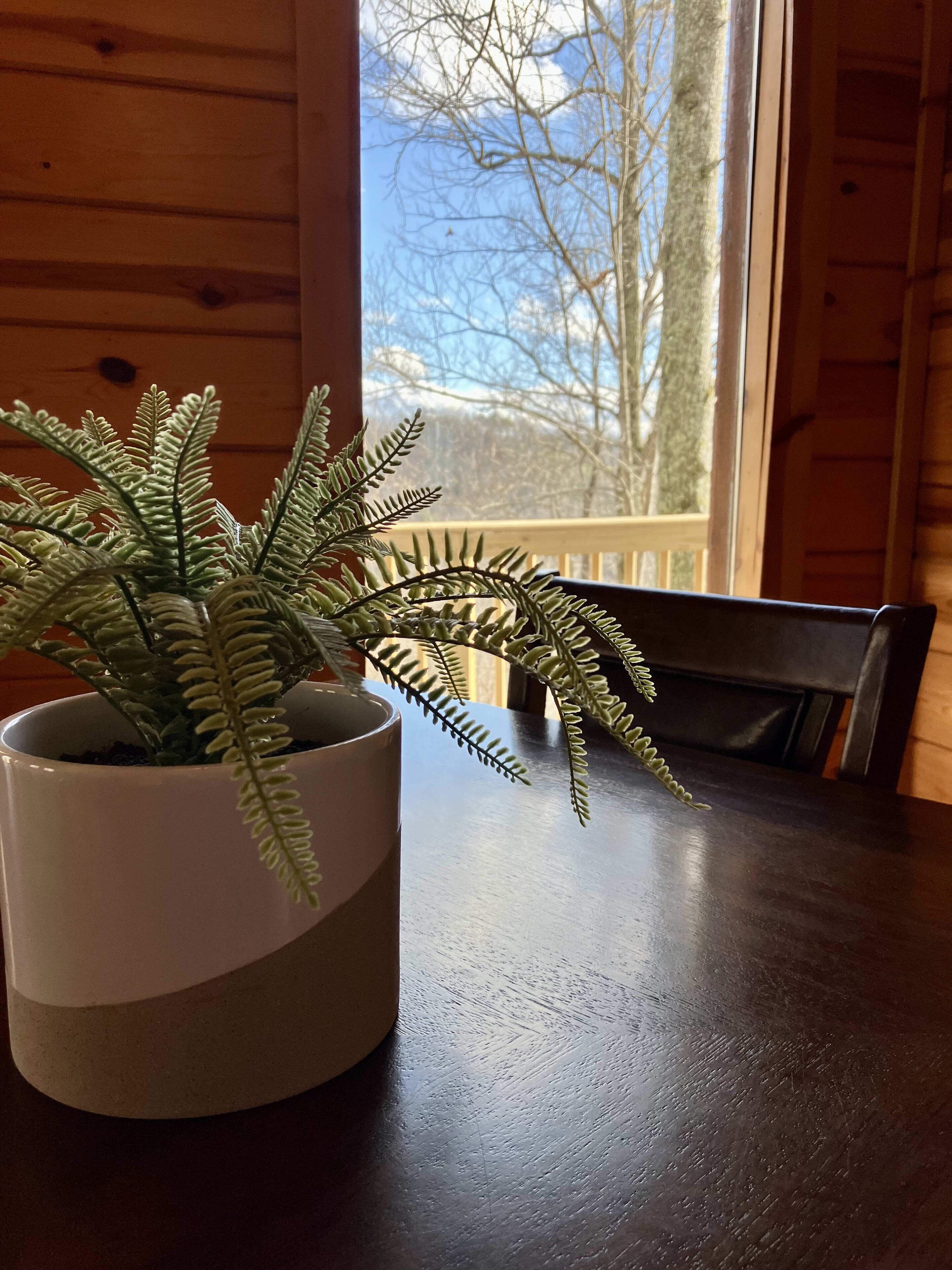 A potted fern on a wooden table near a window with a view of trees.