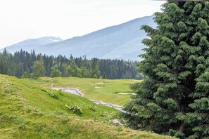 Miscellaneous - Revy's Peak Condo - Hot Tub and Mountain Views (Revelstoke)