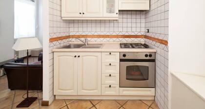 1 bedroom apartment in rome