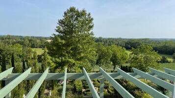A view from a balcony with a pergola structure, overlooking a landscaped garden with various trees and shrubs.