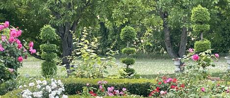 A garden with various flowering plants and neatly trimmed hedges.