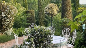 Un jardín con una mesa y sillas, rodeado de plantas y árboles.
