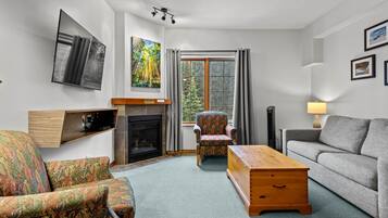 TV, fireplace, DVD player