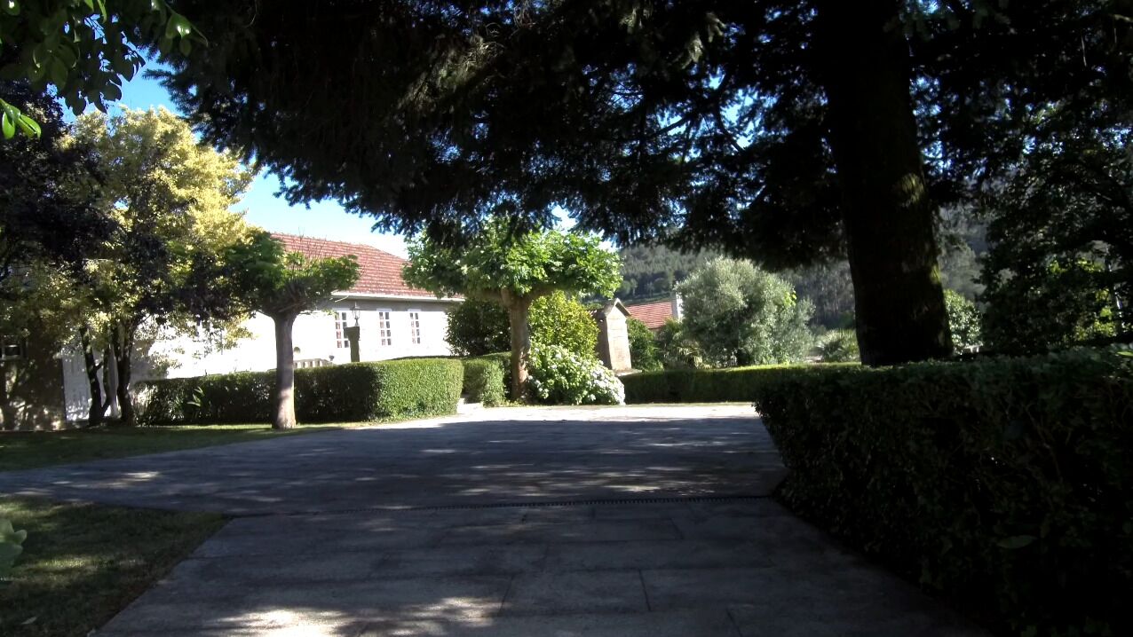 A paved driveway leading to a building with a red-tiled roof, surrounded by well-maintained hedges and trees.