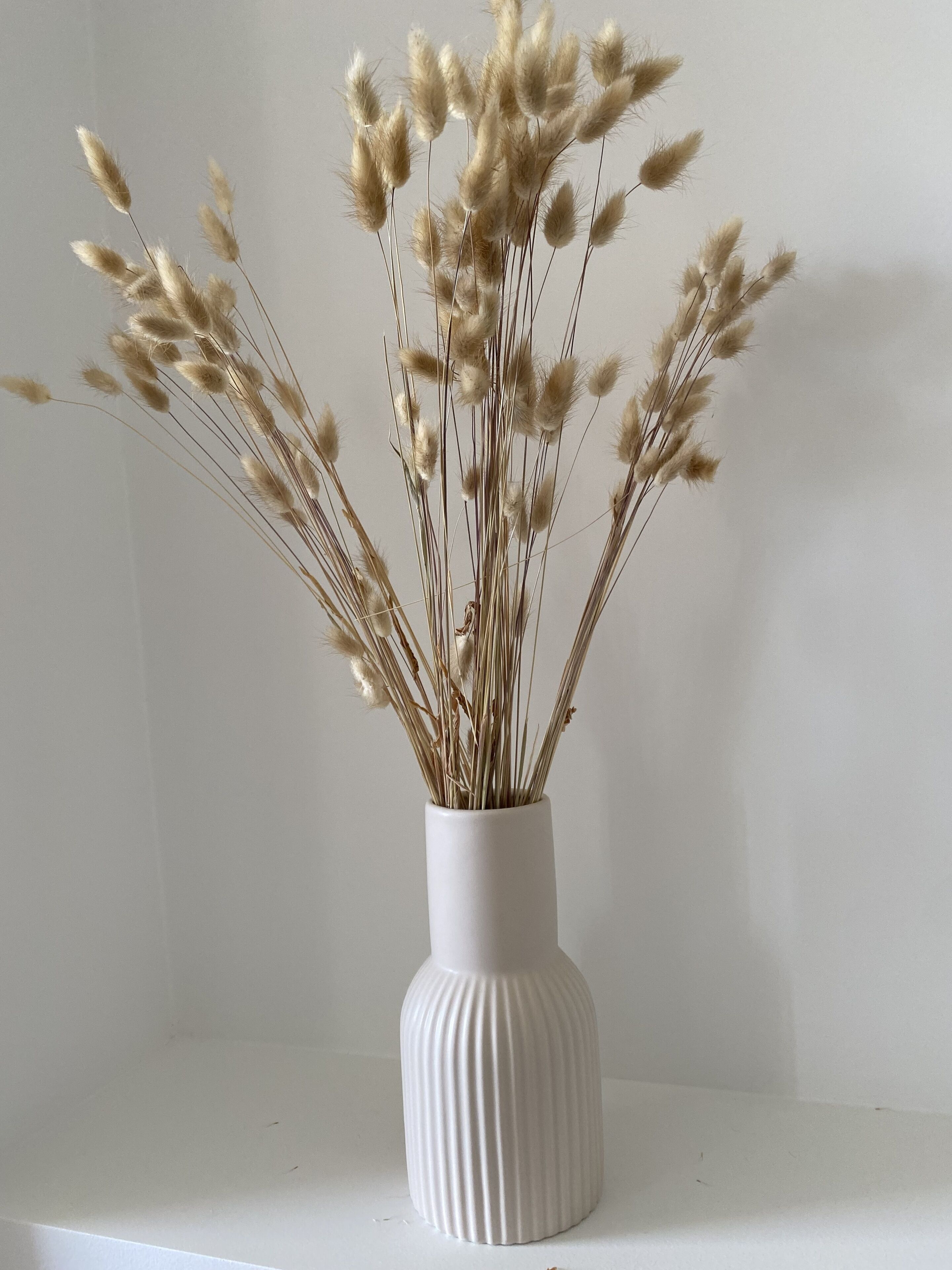A white vase with a ribbed texture containing dried pampas grass.